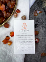 Load image into Gallery viewer, Carnelian mini crystals with card
